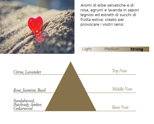 Candela profumata soia extra lusso