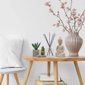 Wooden Sticks Scent Plus