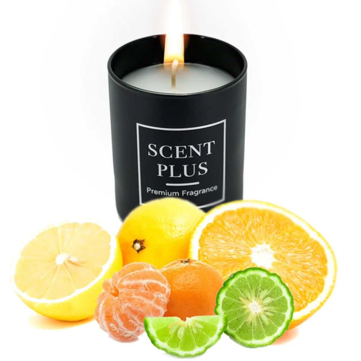 Candela profumata Scent Plus