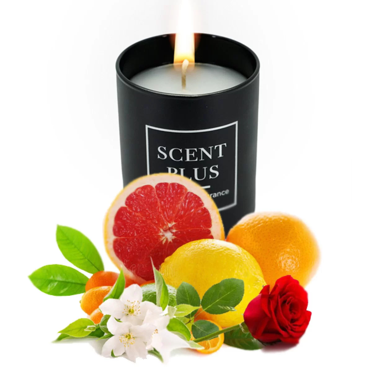 Candela profumata Scent Plus