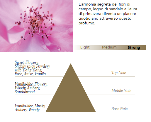 Candela profumata soia extra lusso