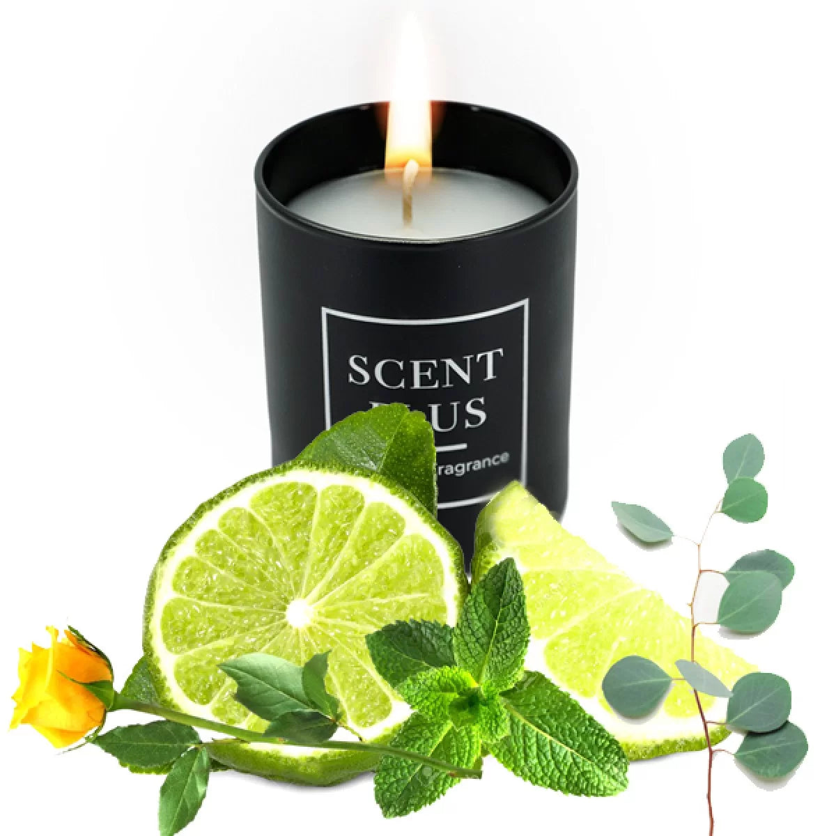 Candela profumata Scent Plus